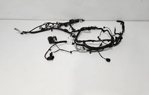 Engine installation wiring loom