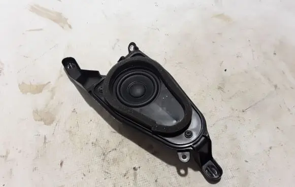Front door high frequency speaker