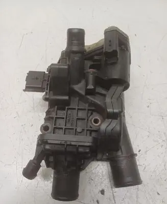 Thermostat/thermostat housing