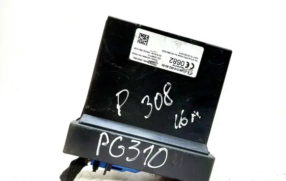 Peugeot 308 Other control units/modules 980169528000
