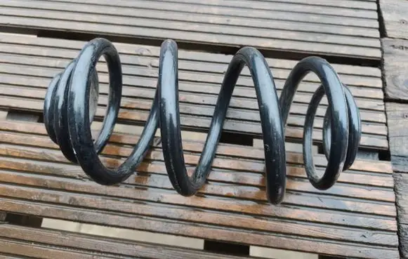 Renault Trafic III (X82) Rear coil spring 550202870R