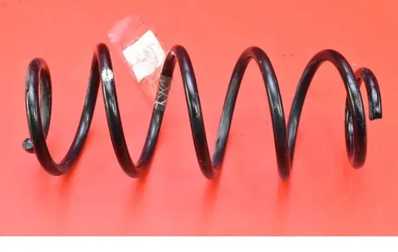 Rear coil spring