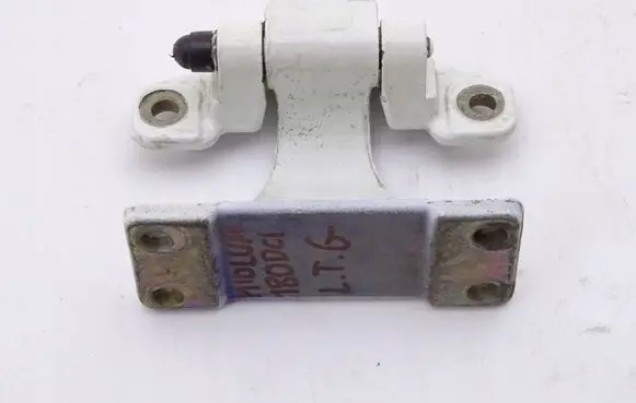 Renault Zoe Rear door hinge set 