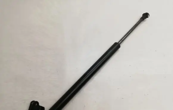 Tailgate/trunk strut/damper