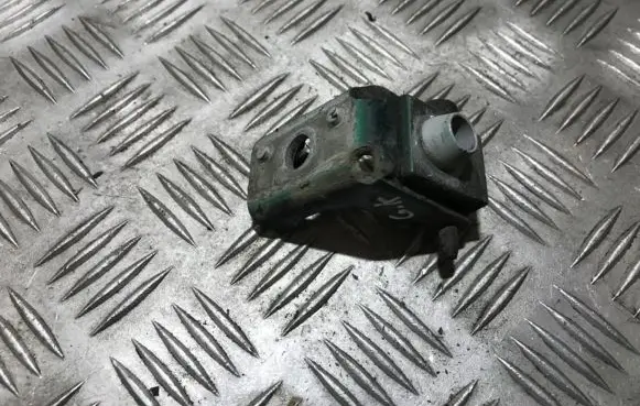 Peugeot 206 Rear door lower hinge