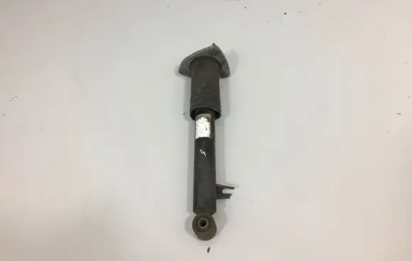 BMW X5 E70 Rear shock absorber/damper 6781931