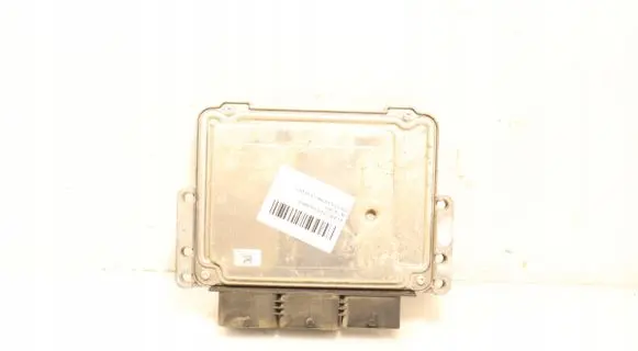 Engine control unit/module ECU