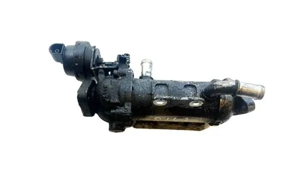 Renault Laguna III EGR valve