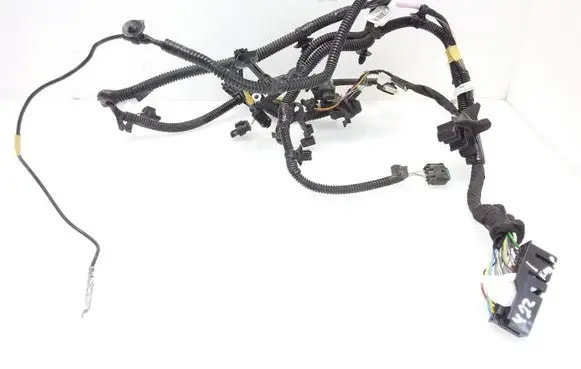 Tesla Model 3 Other wiring loom P10687600F