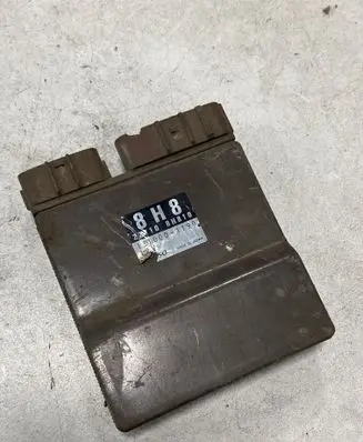 Nissan Primera Fuel injection control unit/module 1310001190