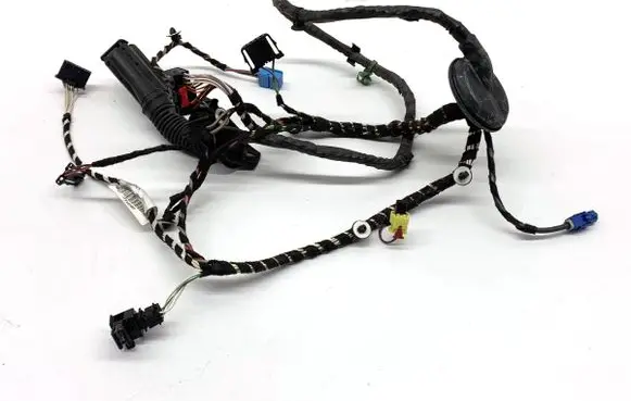 Volkswagen PASSAT B8 Front door wiring loom 3G1971120BF