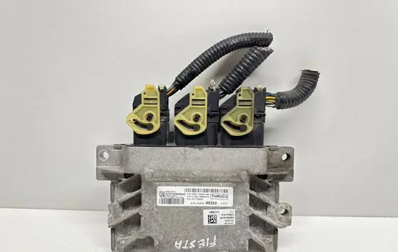 Engine control unit/module ECU