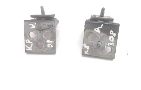 Citroen Xsara Picasso Front door hinge set 