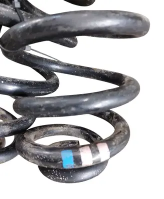 Rear coil spring