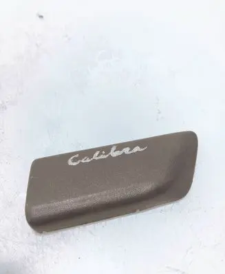 Fender trim (molding)