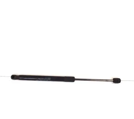 Dacia Duster Tailgate/trunk strut/damper 904520004R
