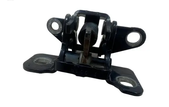 Chrysler 300 - 300C Rear door upper hinge A046923