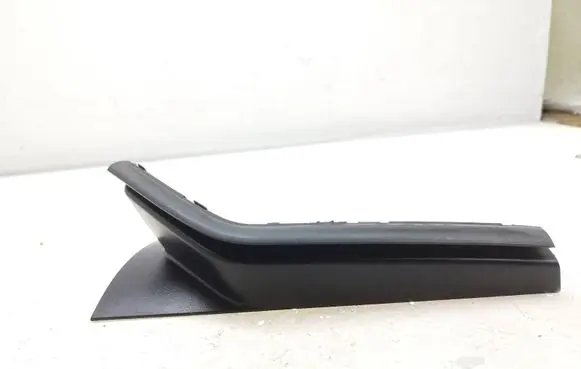 Rear/tail light trim molding