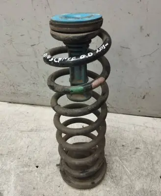 Rear coil spring