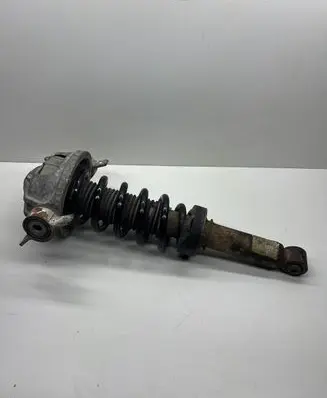 Porsche Cayenne (9PA) Rear shock absorber/damper 7L5513029G