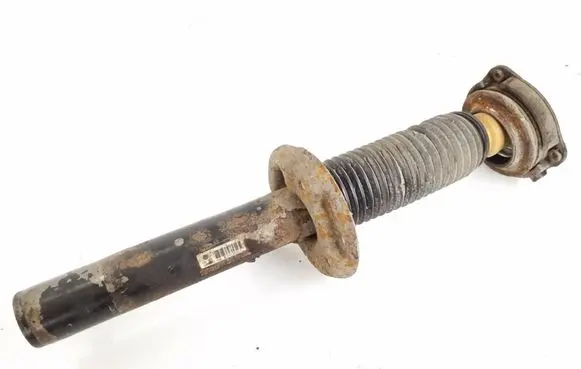 Volkswagen PASSAT B6 Front shock absorber/damper 3C0413031J