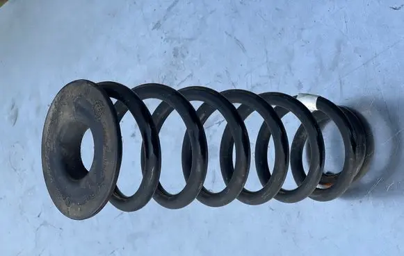 Rear coil spring