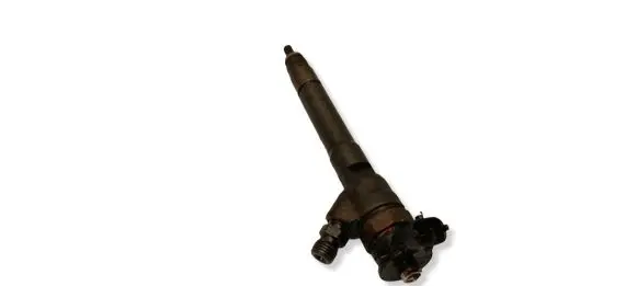 Nissan Qashqai Fuel injector 0445110414