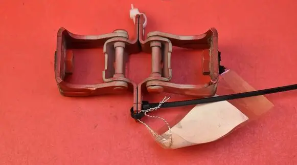 Tailgate/trunk/boot hinge