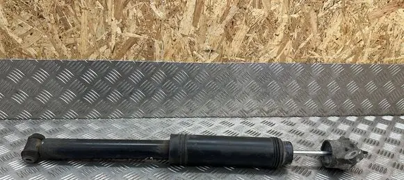 Ford Kuga III Rear shock absorber/damper TTRHTS004 MX6118159AAA