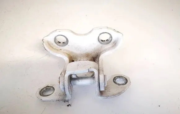 Rear door lower hinge