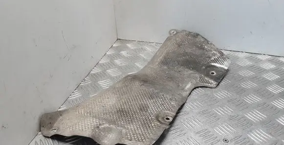 Exhaust heat shield