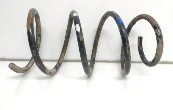 Front coil spring