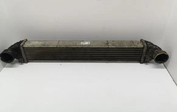 Mercedes-Benz A W169 Intercooler radiator A1695000000