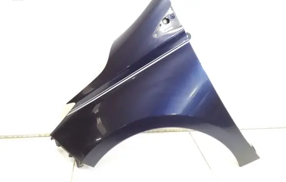 Renault Zoe Fender 631018491R