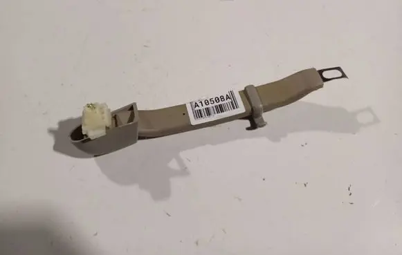 Chevrolet Epica Rear interior roof grab handle