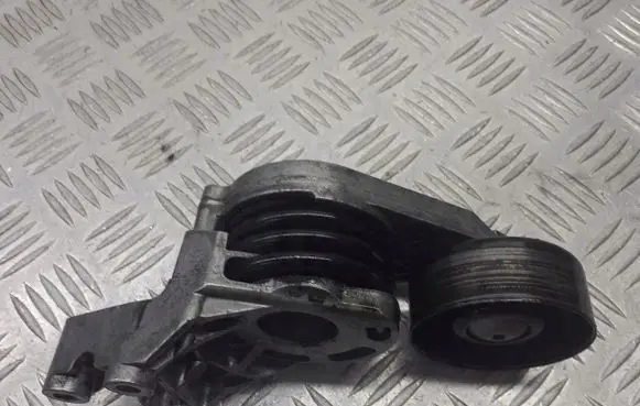 Skoda Fabia Mk1 (6Y) Alternator belt tensioner pulley 
