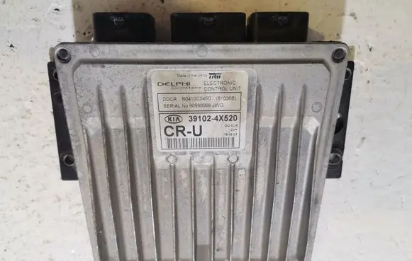 KIA Sedona Engine control unit/module 80986999 391024X520