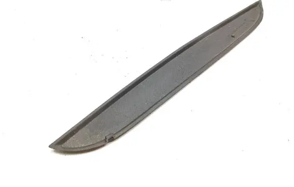 Other rear door trim element
