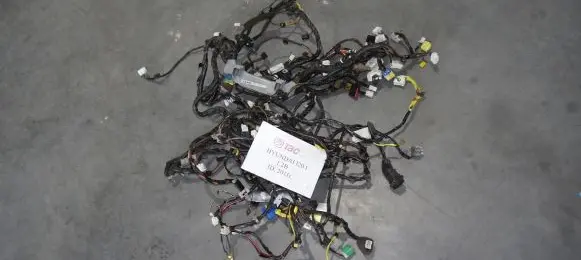 Hyundai i20 (PB PBT) Other wiring loom 91170-1J840