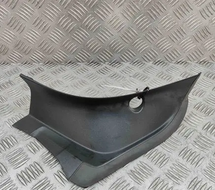 Rear/tail light trim molding