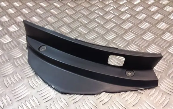 Rear/tail light trim molding