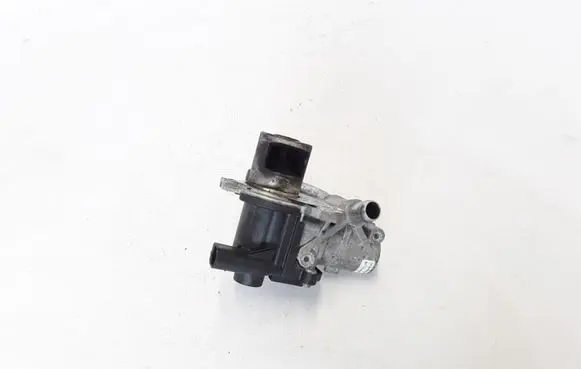 Renault Fluence EGR valve