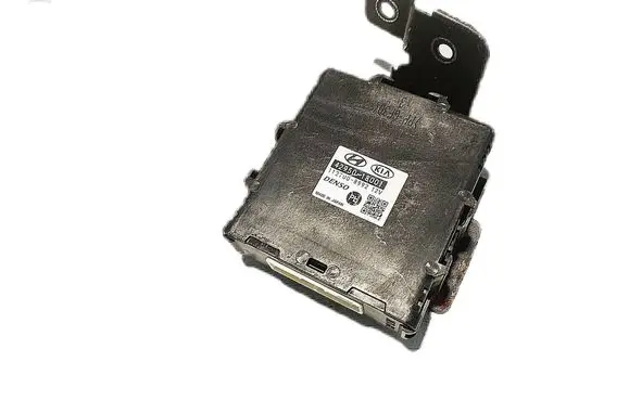 KIA Carnival Other control units/modules 429508001
