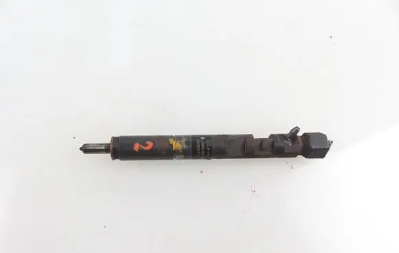 Ford Focus Fuel injector EJBR02201Z 2T1Q9F593AA