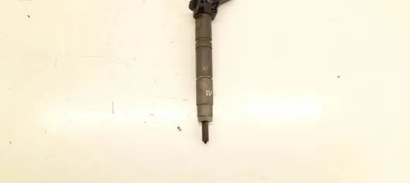 Mercedes-Benz GL X164 Fuel injector 6420701487 6420700887
