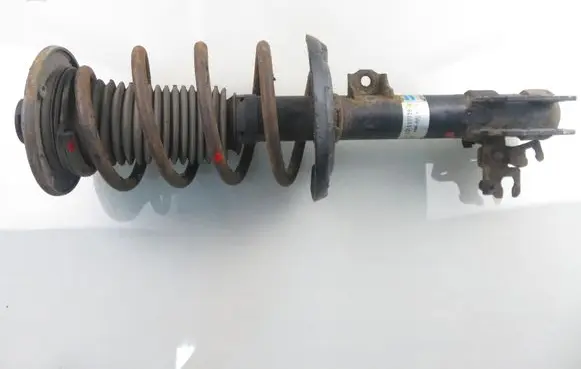 Vauxhall Vectra C Front shock absorber with coil spring 22118738