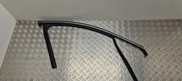 Hyundai Santa Fe Front door glass trim molding 
