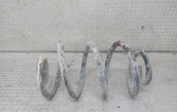 Renault Modus Rear coil spring