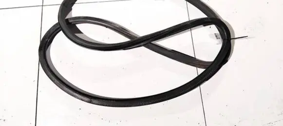 Volkswagen PASSAT B6 Rubber seal front coupe door 3c4867911b