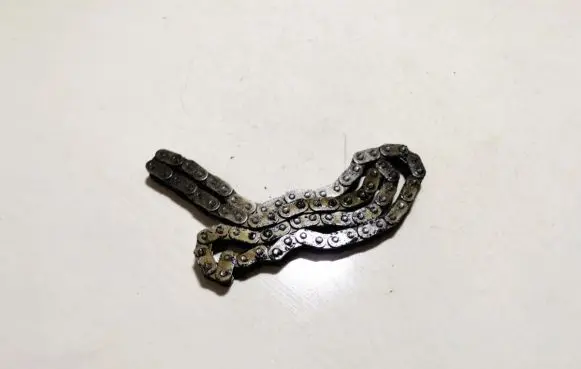 Ford Transit Timing chain (engine) 